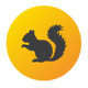 squirrel