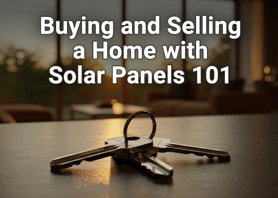 Upcoming Webinar