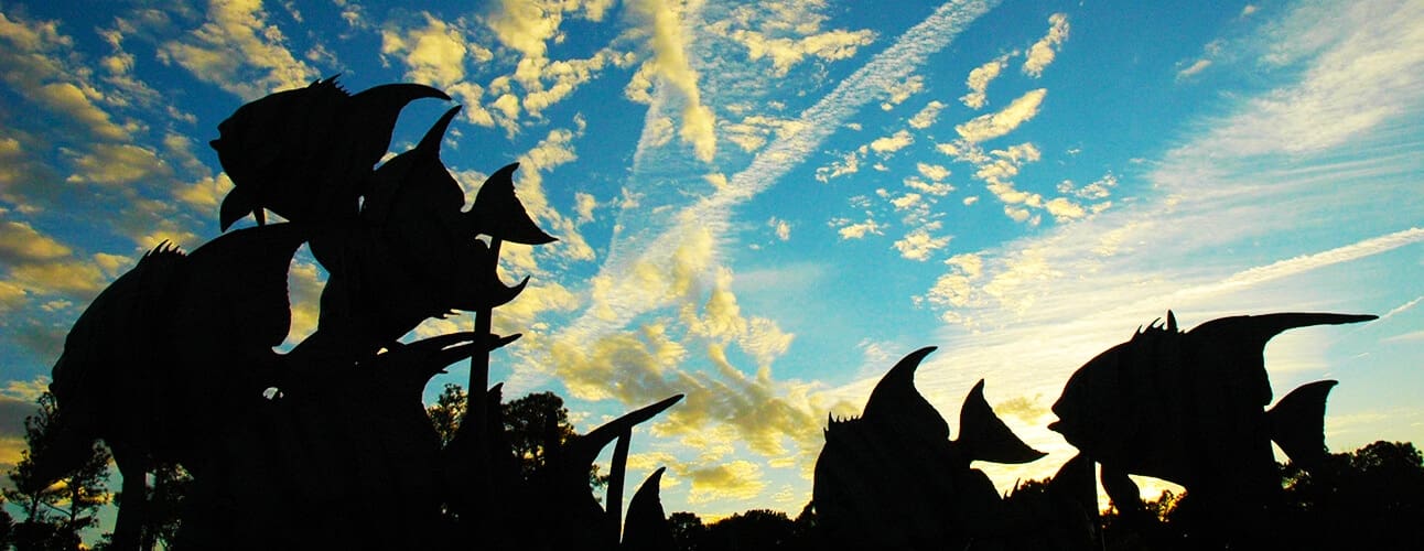 Trick or Treat Under The Sea, Thursday, October 26, 2017