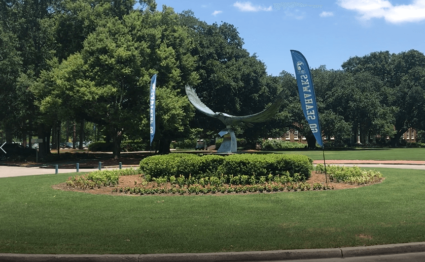 UNCW Professors Go Solar | Residential Testimonial