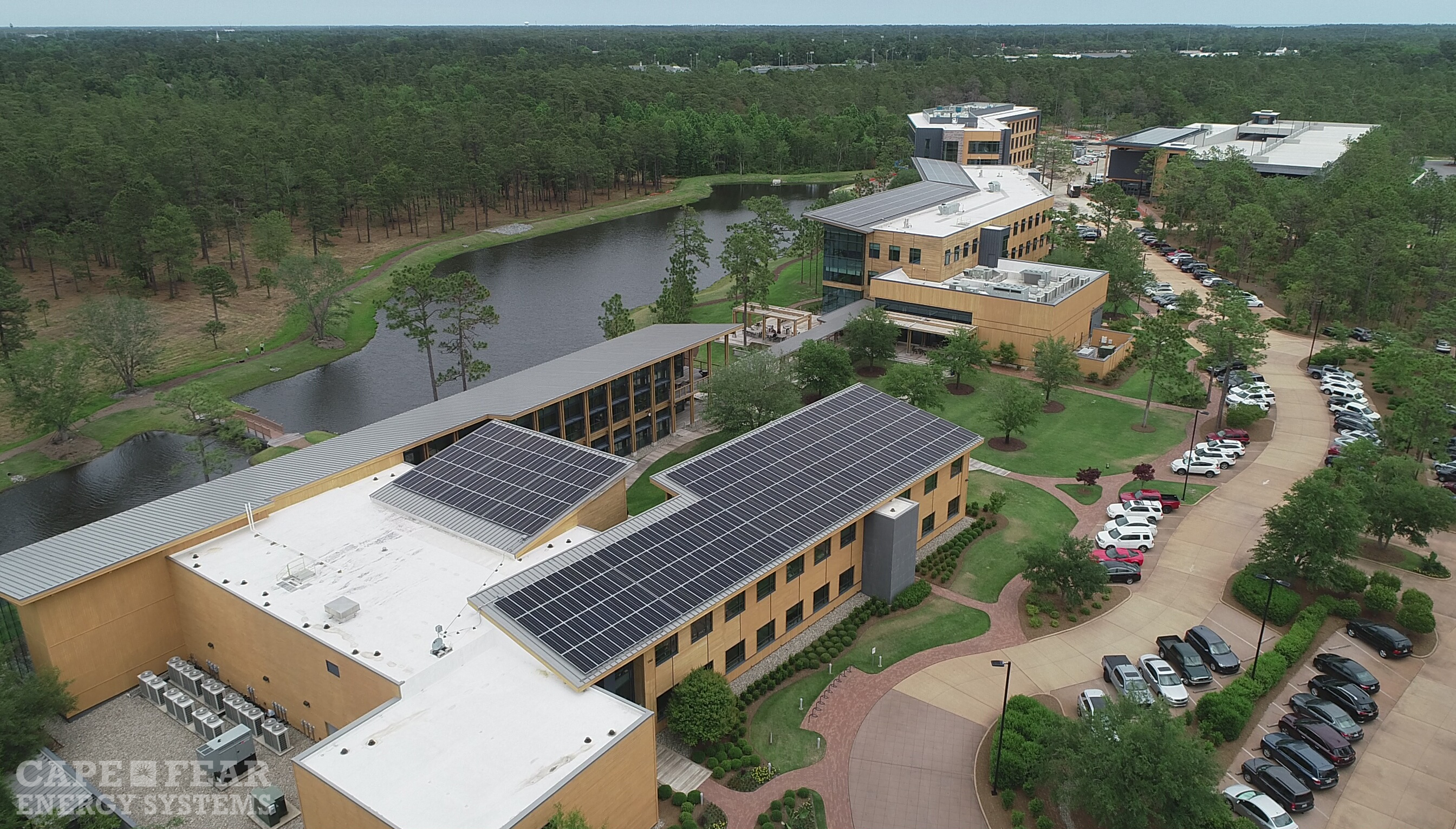 Live Oak Bank | Commercial Case Study