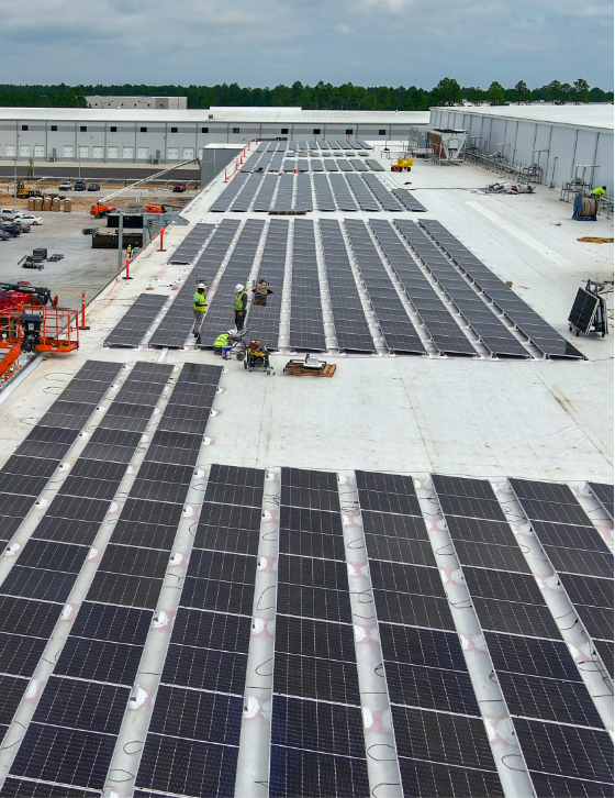 Wilmington_Freezer_Watermarked